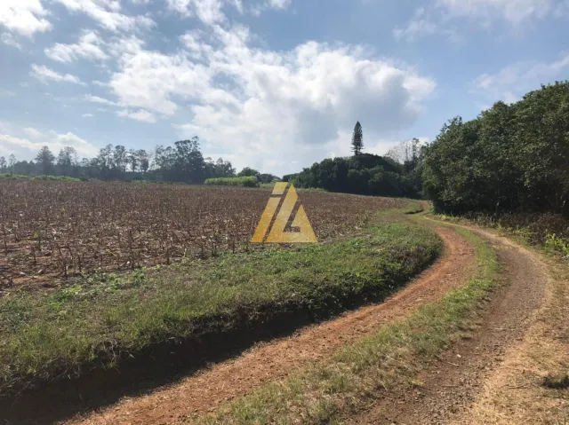Área rural, foto 3
