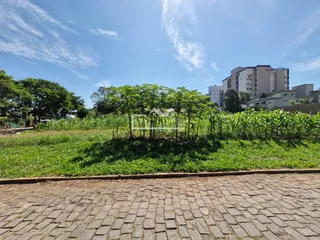 Terreno, foto 7