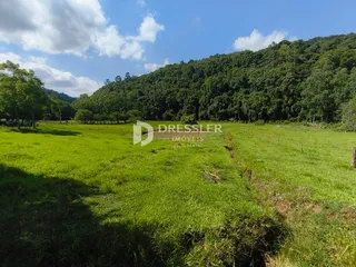 Área rural com 3 dormitórios, foto 9
