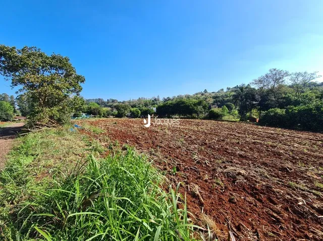 Campo de terra com vegetação verde e árvores ao fundo sob um céu azul.