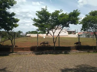 Terreno, foto 2