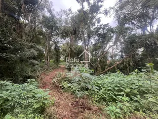 Terreno, foto 14