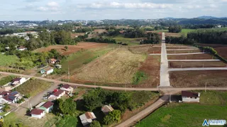 Terreno, foto 3