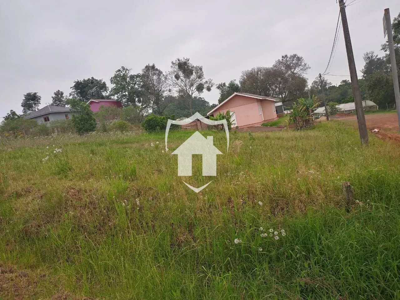 Terreno, foto 1