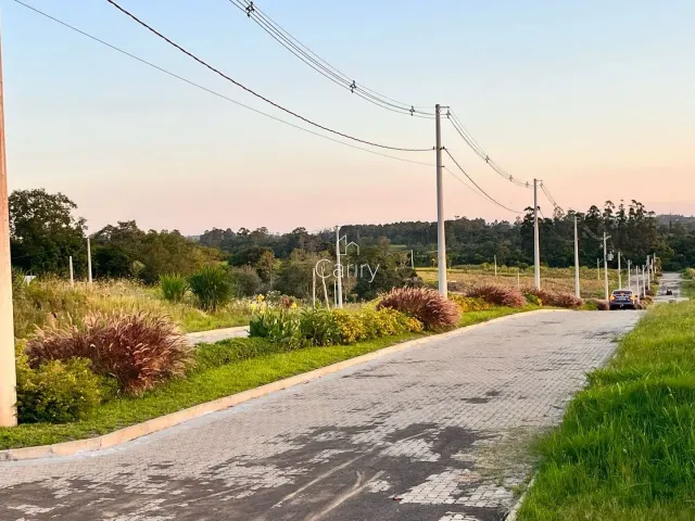 Terreno, foto 3