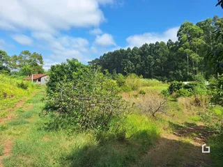 Paisagem de vegetação e trilha em uma área rural.
