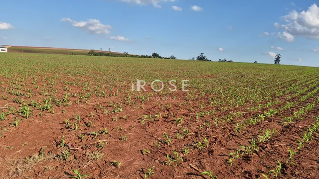 Área rural, foto 2