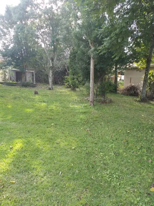Terreno