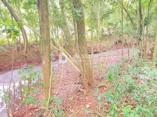 Terreno, foto 16