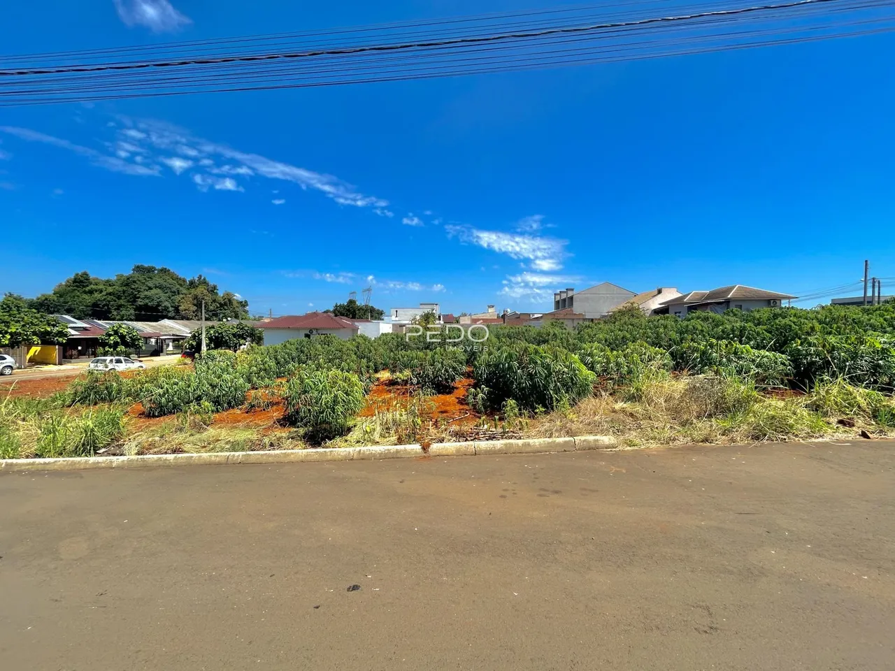 Vista da paisagem rural e residências ao fundo de uma rua no Brasil.