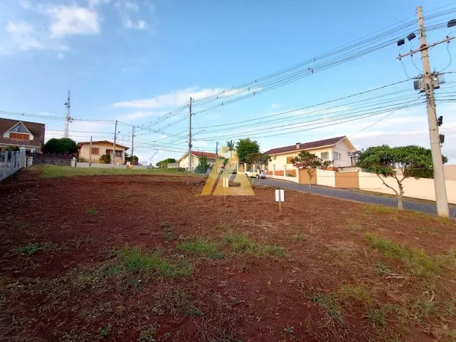 Terreno, foto 4