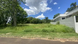 Vista externa de uma propriedade com vegetação alta e árvores ao redor.