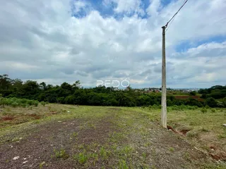 Paisagem de terreno com vegetação no campo.