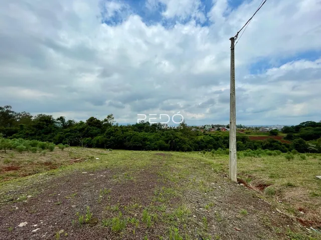 Terreno, foto 5