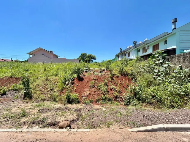 Terreno, foto 2