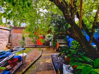 Vista externa do quintal com vegetação densa e um caminho de terra.