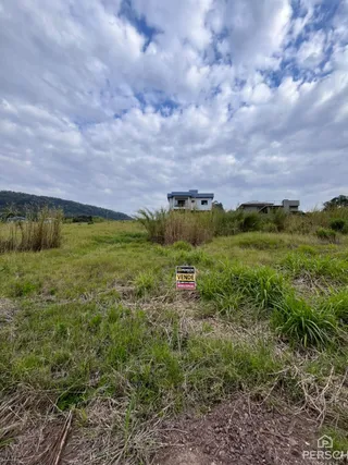 Vista externa de um terreno com vegetação alta sob um céu nublado.