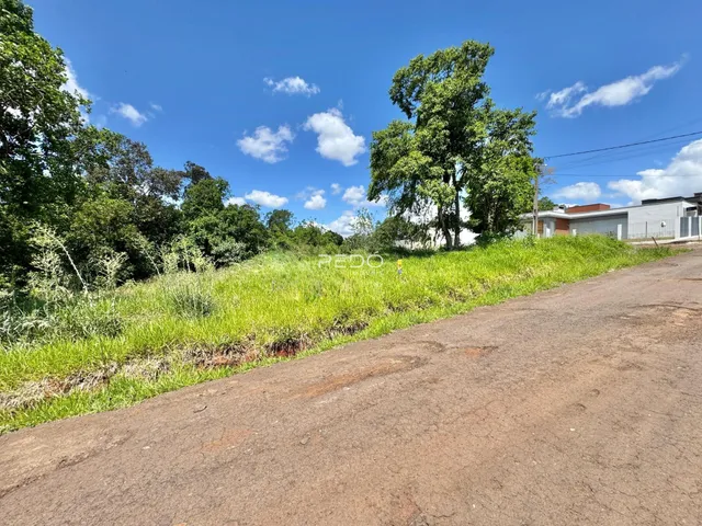 Vista da paisagem com vegetação e estrada em Lajeado, Brasil.