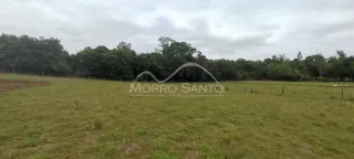 Vista de um campo gramado com árvores ao fundo.