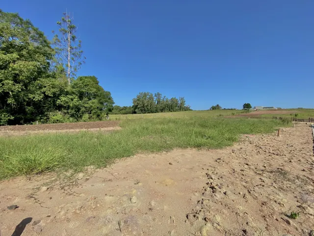 Vista de um campo aberto com vegetação e árvores sob um céu azul.