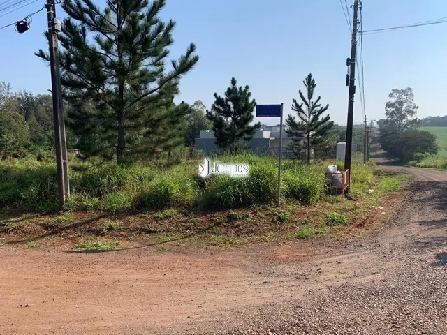 Terreno, foto 3