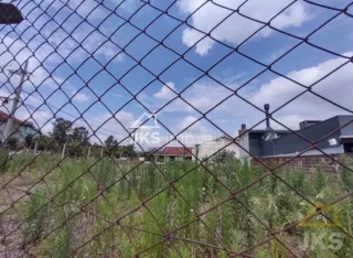 Terreno, foto 5
