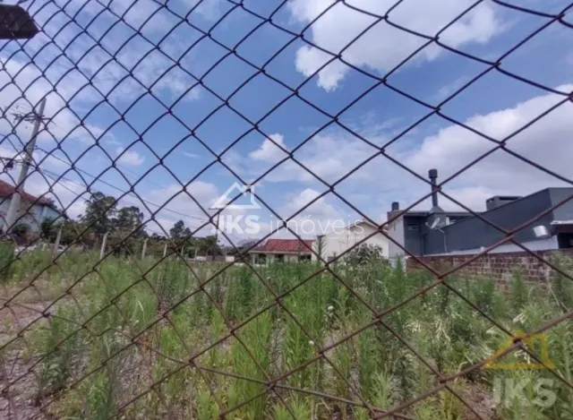 Terreno, foto 5