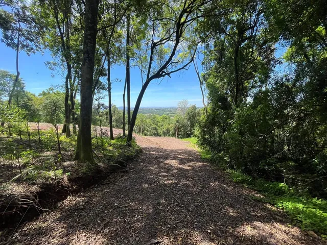 Área rural, foto 2