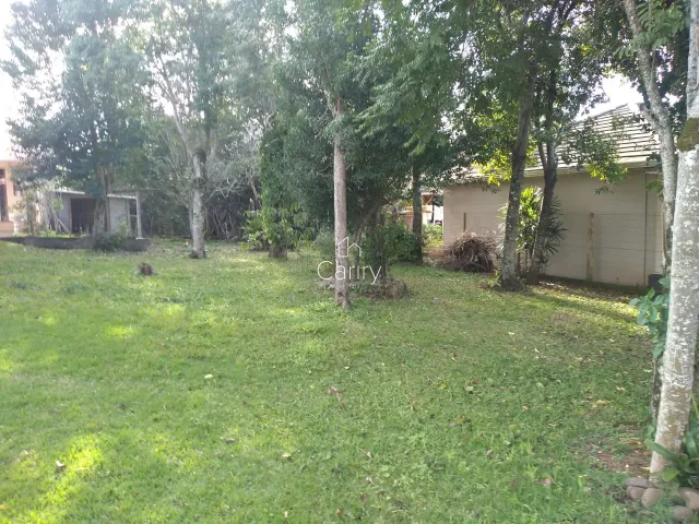 Terreno, foto 4