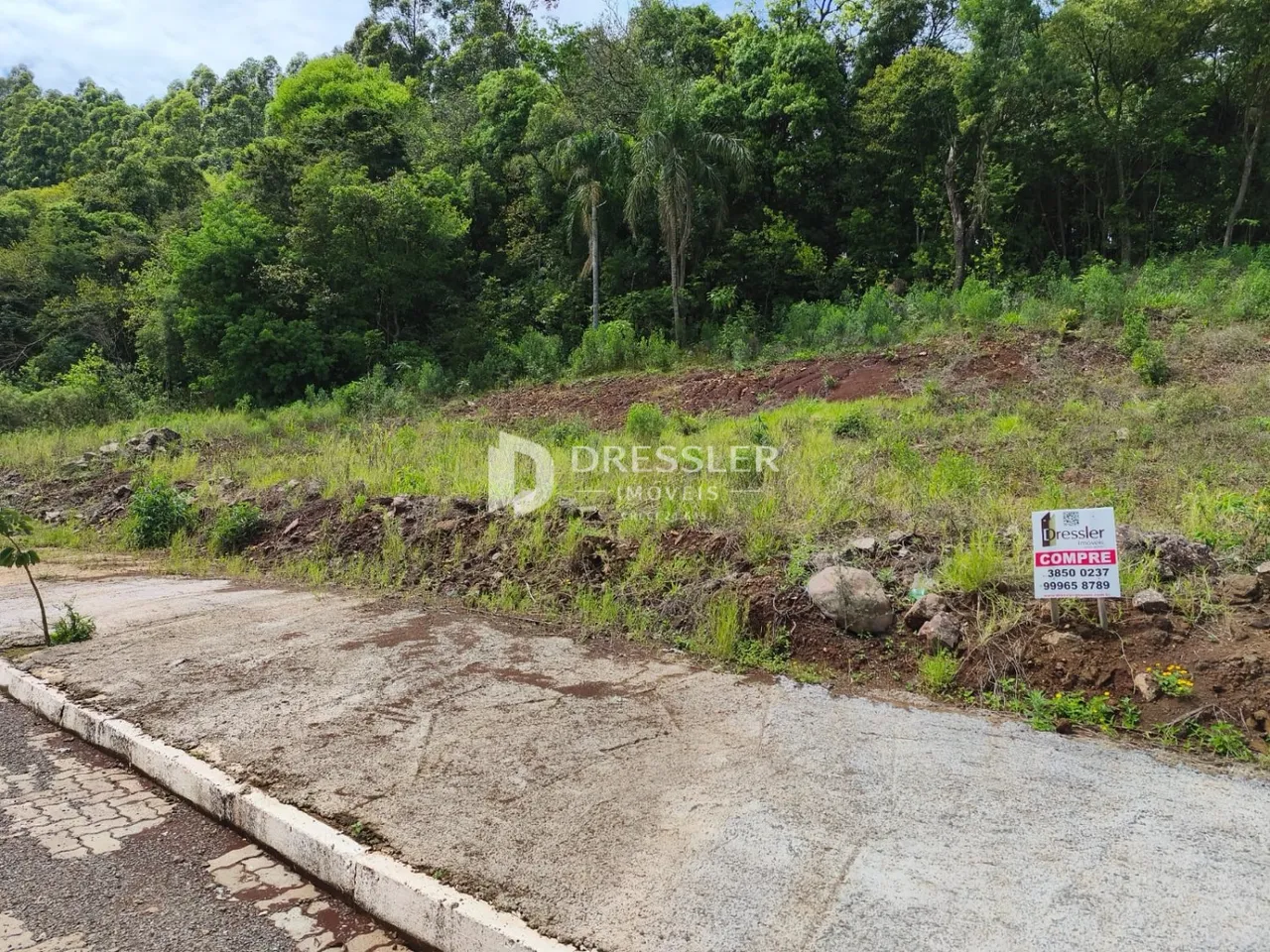 Terreno, foto 1
