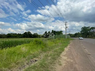 Paisagem de campo com vegetação e uma estrada ao lado.