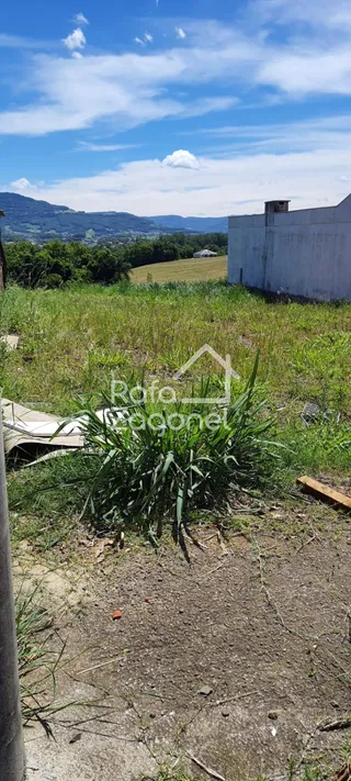 Terreno, foto 3