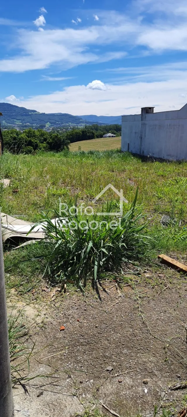 Terreno, foto 3