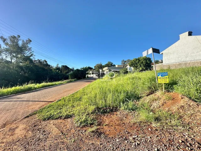 Vista da estrada e da vegetação ao lado de uma residência no campo.