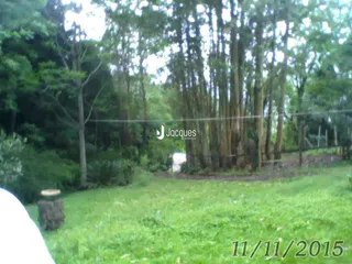 Vista externa de um jardim com árvores e grama verde.