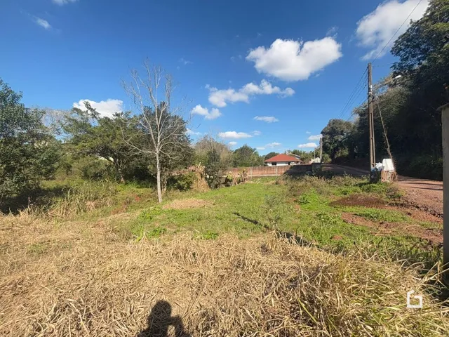 Vista externa de um campo com vegetação seca e grama alta.