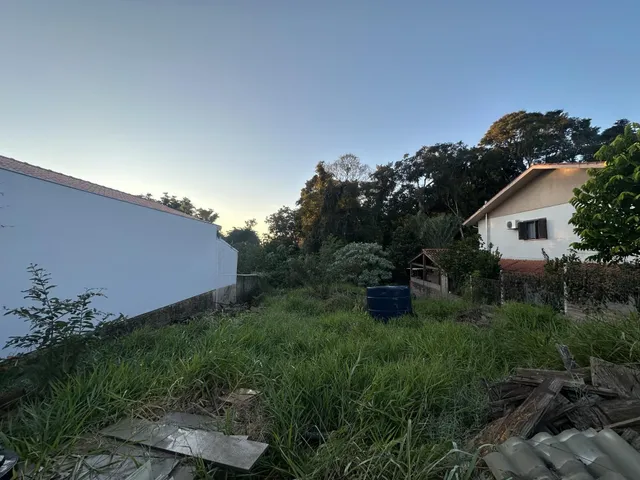 Vista externa de uma residência com vegetação alta no jardim.