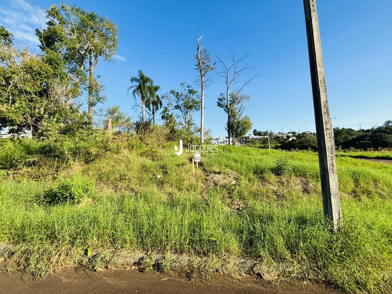 Paisagem de grama alta e vegetação sob um céu azul.