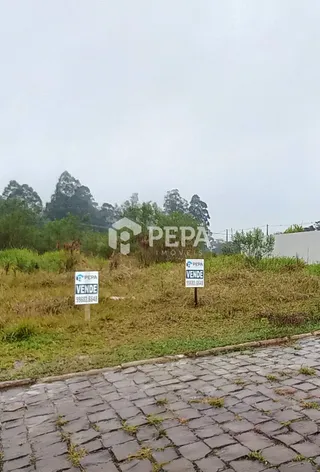 Terreno, foto 3