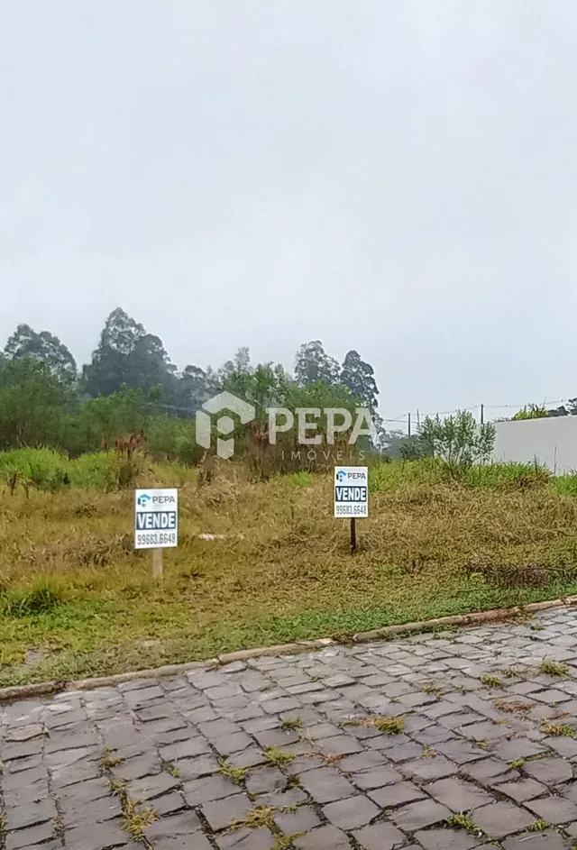 Terreno, foto 3