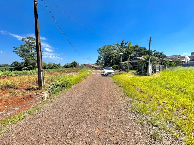 Vista da propriedade em Lajeado, Brasil, mostrando uma estrada de terra que leva às casas ao fundo.