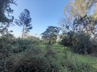 Área rural, foto 5