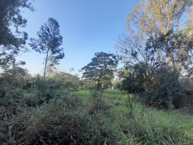Área rural, foto 5