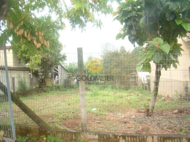 Terreno, foto 2