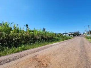 Vista de uma estrada de terra ladeada por vegetação densa sob um céu azul.
