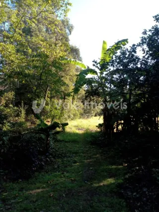 Área rural, foto 15