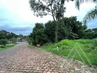 Terreno, foto 2