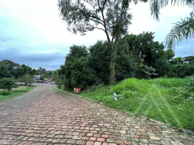 Terreno, foto 2