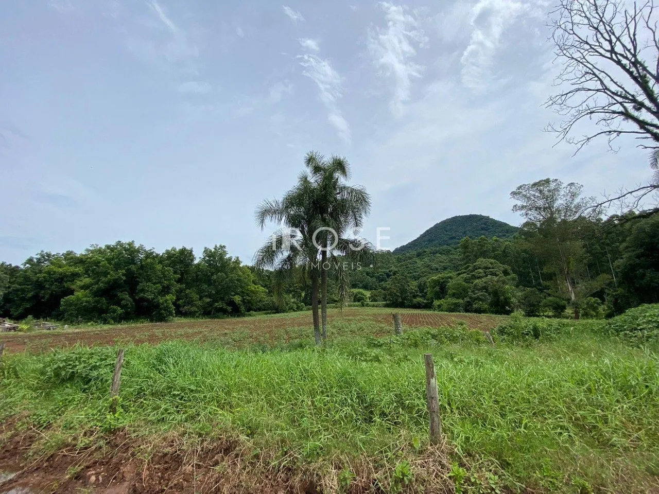 Área rural, foto 1