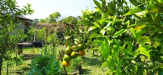 Área rural com 3 dormitórios, foto 10
